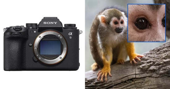 Sony a9 III dynamic range and noise level